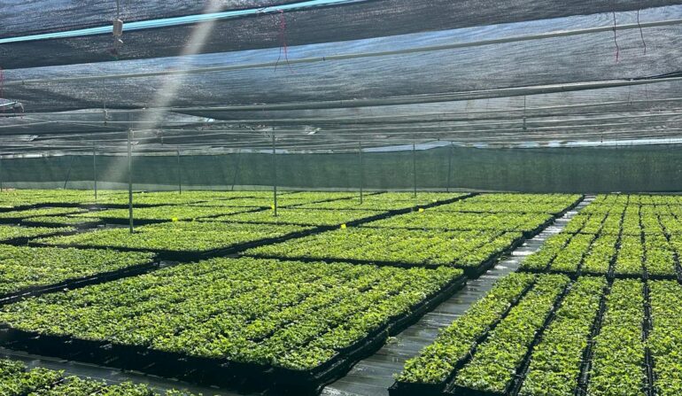 WhatsApp Image 2026-03-26 at 21.10.35