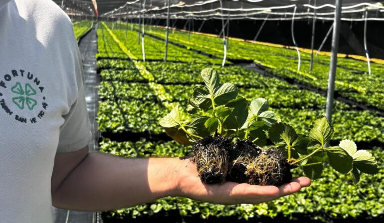 WhatsApp Image 2026-03-27 at 09.41.41