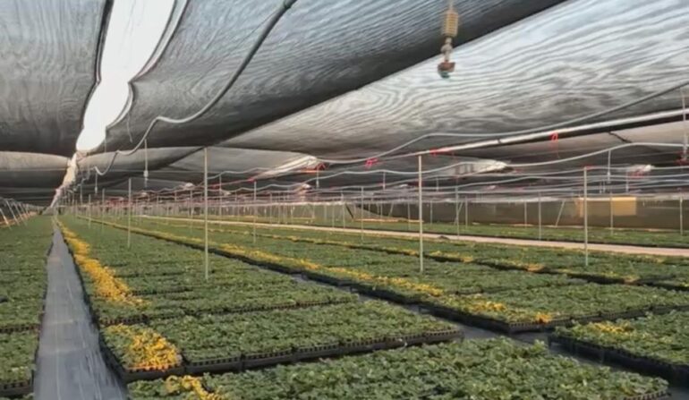 WhatsApp Image 2026-03-27 at 09.42.26